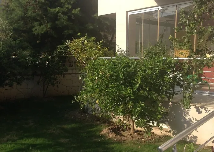 Zeytin 3*